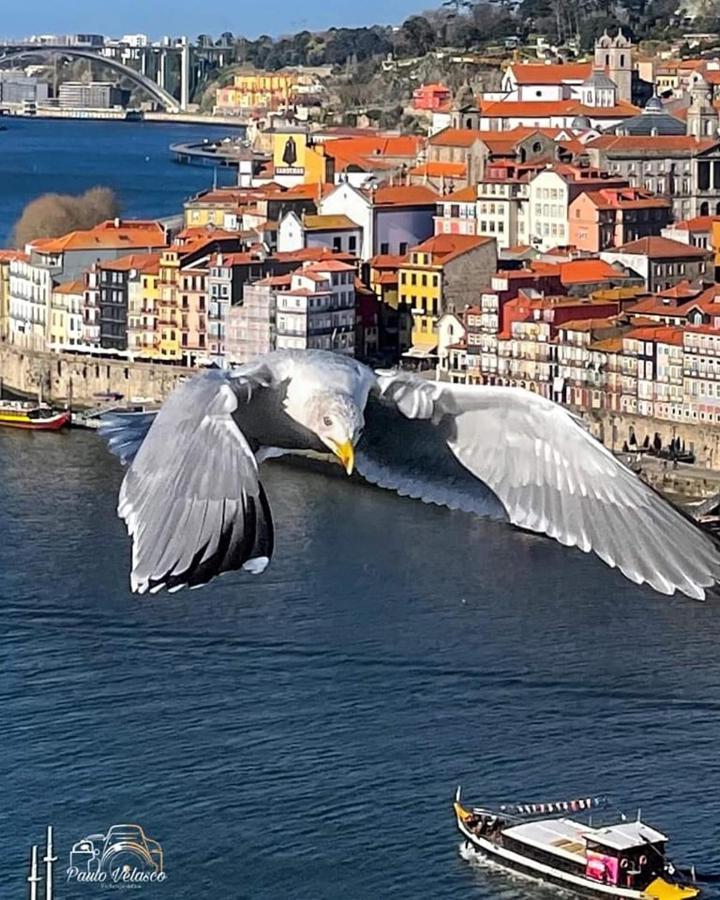 Casa Mira Douro Villa บีลาโนวาเดกายา ภายนอก รูปภาพ